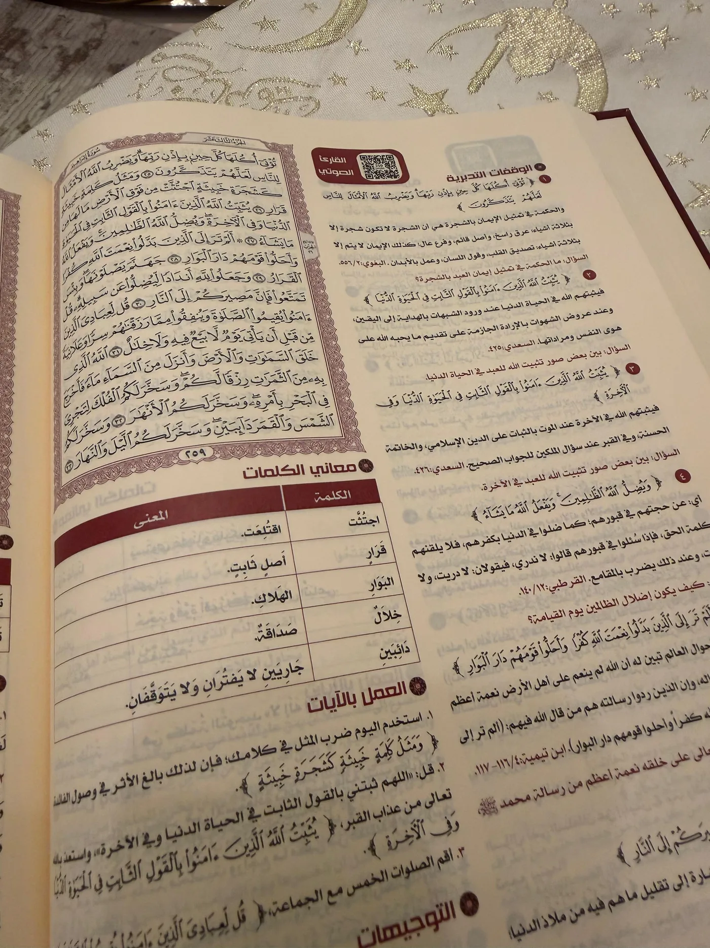 WhatsApp Image 2026 08 13 at 00.17.53
